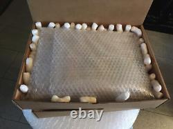 2016 Black Panther #1 CGC 9.8 with White Pages SIGNED Stan Lee Collectibles/MEFCC