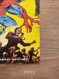 Hotkey Top 10 Foreign Grails Amazing Spiderman 101 Spain Signed By Stan Lee Jsa