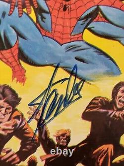 Hotkey Top 10 Foreign Grails Amazing Spiderman 101 Spain Signed By Stan Lee Jsa