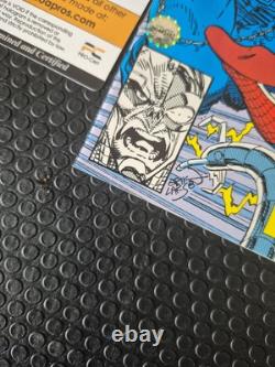 Spider-man 22 DIRECT EDITION Signed by Stan Lee High Grade NM With COA PRO CERT