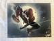 Spiderman 11 x 14 Picture Signed by Stan Lee